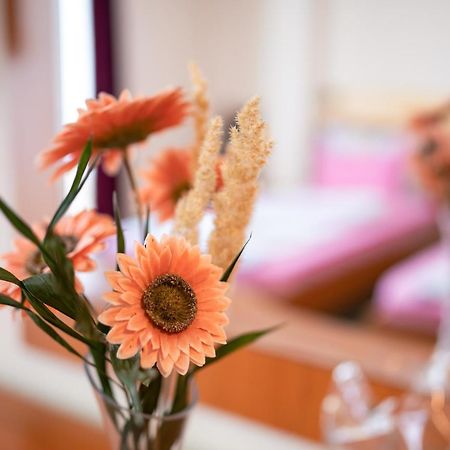 Hotel Holiday-M Охрид Екстер'єр фото